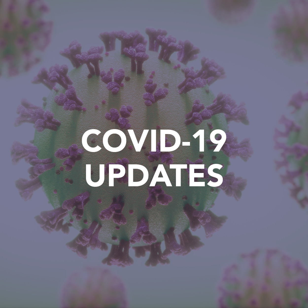 Covid 19 Updates