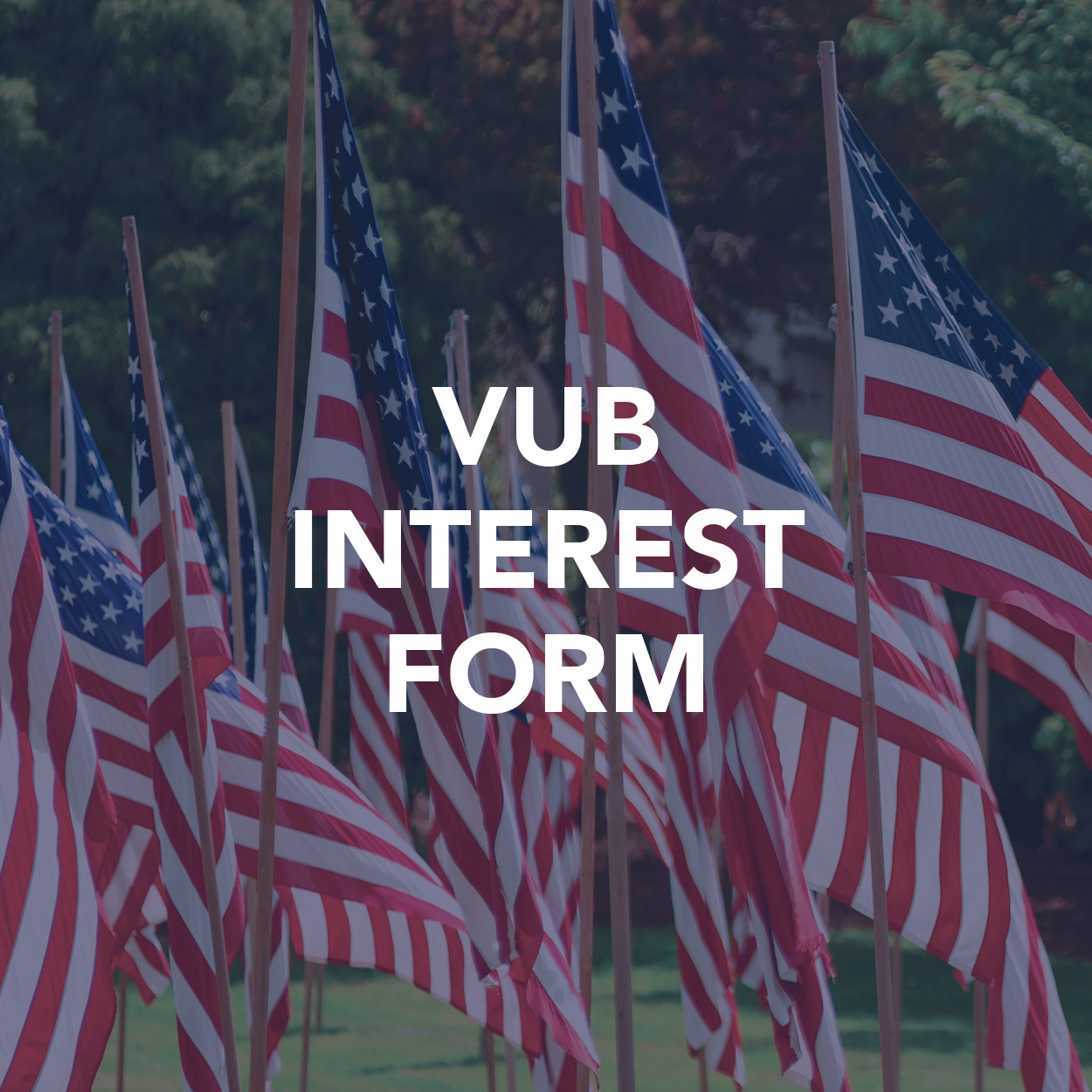 VUB Interest Form